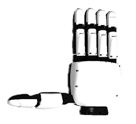 XHand