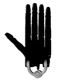 Shadow Hand